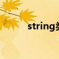 string类型是什么（string类型）